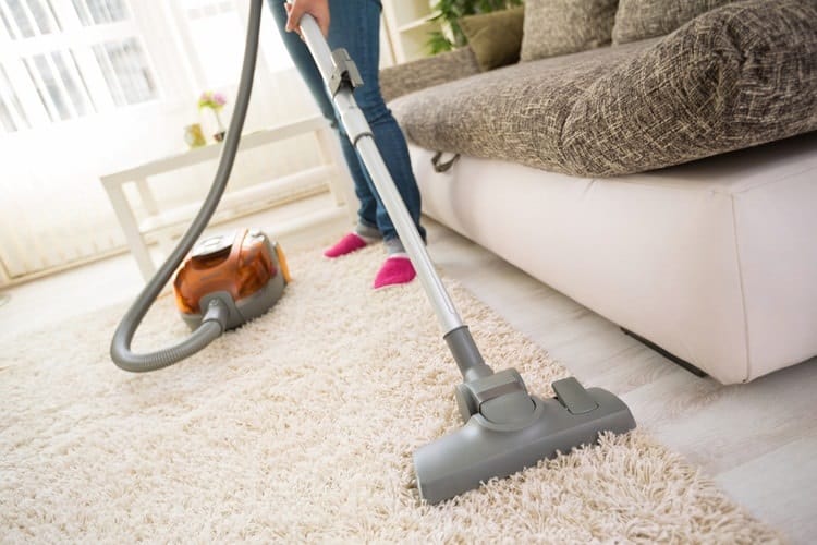 top carpet maintenance tips denver