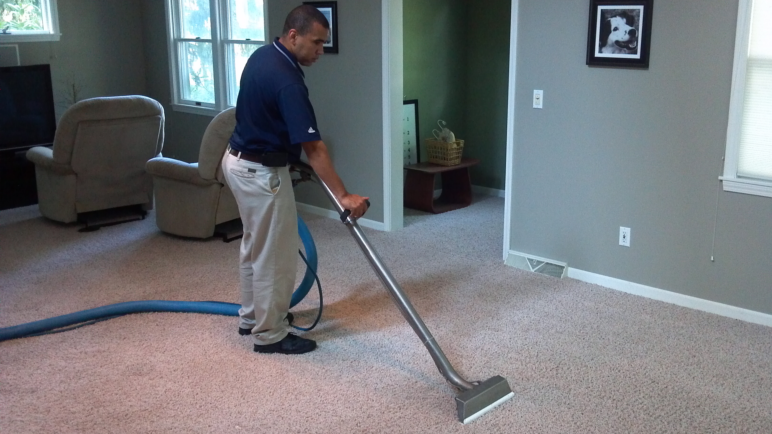 top carpet maintenance tips denver